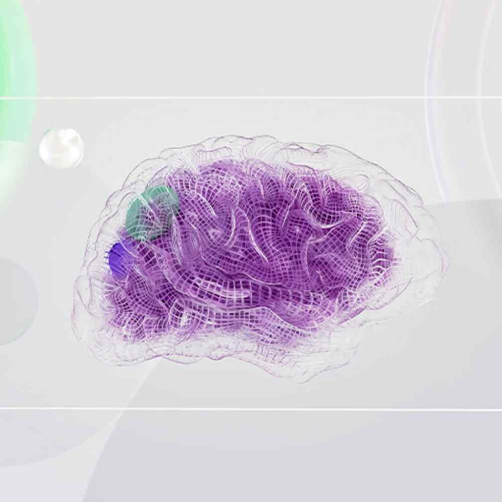 inner_image_02 https://nuriplast.com/wp-content/uploads/2023/11/inner_image_02.jpg